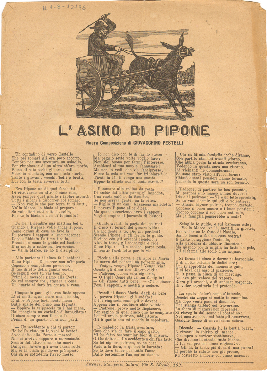 Asino di pipone r inv.d6649